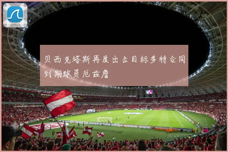贝西克塔斯再度出击目标多特合同到期球员厄兹詹